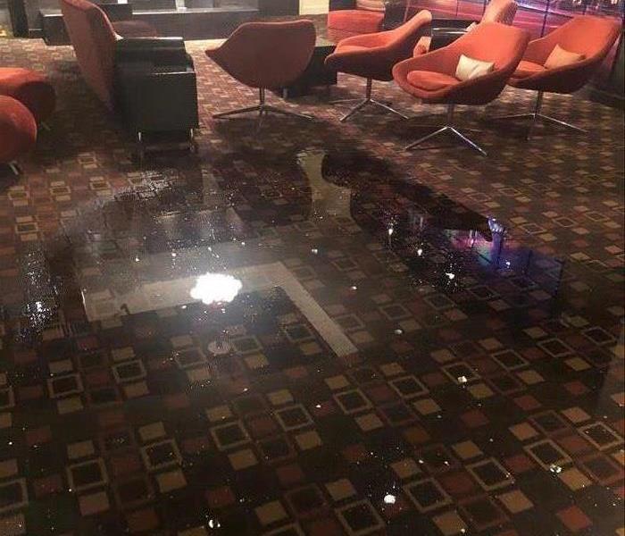several inches of water standing on carpet 